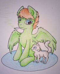 Size: 1280x1573 | Tagged: safe, artist:drakovyte, oc, oc only, cat, pegasus, pony, 2015, blue eyes, colored pencil drawing, green coat, pegasus oc, sitting, smoking, solo, traditional art