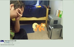 Size: 1024x656 | Tagged: artist needed, safe, editor:lopezak, applejack, earth pony, human, pony, g4, artifact, butt, deviantart, facepalm, hand on face, irl, irl human, it came from deviantart, male, photo, photo edit, plot, ponies in real life, screenshots, wat