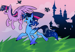 Size: 2388x1668 | Tagged: artist needed, source needed, safe, twilight sparkle, oc, oc:blue thunder, alicorn, pony, g4, alicorn oc, canon x oc, canterlot, duo focus, female, flying, grass, grass field, horn, male, shipping, straight, thundersparkle, twilight sparkle (alicorn), twilight's castle, wings