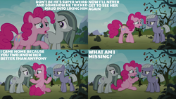 Size: 2000x1125 | Tagged: safe, edit, edited screencap, editor:quoterific, screencap, limestone pie, marble pie, pinkie pie, earth pony, pony, g4, season 8, the maud couple, female, mare, rock, rock farm, tree, trio, trio female