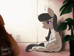 Size: 560x420 | Tagged: safe, artist:hauntedtuba, octavia melody, earth pony, pony, g4, animated, anxiety, blinking, cello, colored eyelashes, door, doorknob, electrical outlet, eyebrows, eyelashes, female, flower pot, gif, head down, leaning back, looking down, mare, missing accessory, musical instrument, plant, room, shadow, signature, sitting, solo, tail