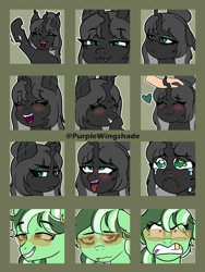 Size: 3000x4000 | Tagged: safe, artist:purple wingshade, oc, oc only, oc:gold buck, oc:polly, changeling, earth pony, pony, ahegao, angry, blushing, crying, ear piercing, earring, emoji, emotes, exhausted, expressions, eyeshadow, female, happy, heart, jewelry, looking at you, makeup, mare, open mouth, petting, piercing, smug, sunglasses, tired, tongue out, waving