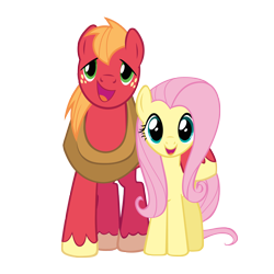 Size: 4000x4000 | Tagged: safe, anonymous artist, big macintosh, fluttershy, earth pony, pegasus, pony, g4, absurd resolution, duo, duo male and female, female, hoof around neck, looking at you, male, mare, open mouth, open smile, ship:fluttermac, shipping, simple background, smiling, smiling at you, stallion, straight, transparent background, vector