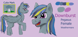 Size: 9000x4281 | Tagged: safe, oc, oc only, oc:downburst, pegasus, pony, cutie mark, reference sheet, simple background
