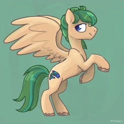 Size: 2048x2048 | Tagged: safe, artist:pfeffaroo, oc, oc only, pegasus, pony, pegasus oc, profile, rearing, smiling, solo, spread wings, wings