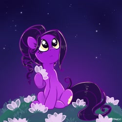 Size: 2048x2048 | Tagged: safe, artist:pfeffaroo, oc, oc only, earth pony, pony, earth pony oc, night, solo, stars