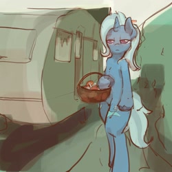 Size: 3000x3000 | Tagged: safe, artist:ruby, trixie, pony, unicorn, basket, bipedal, caravan, female, high res, holding, horn, looking at you, mare, mushroom, rv, solo, unamused, unshorn fetlocks