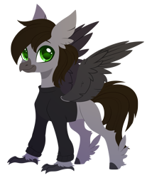 Size: 2191x2650 | Tagged: safe, artist:belka-sempai, part of a set, oc, oc only, oc:razor uniboop, changeling, classical hippogriff, hippogriff, g4, colored wings, commission, disguise, disguised changeling, jumper, male, simple background, smiling, solo, spread wings, transparent background, wings, ych result