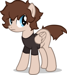 Size: 4240x4780 | Tagged: safe, artist:foxtrnal, oc, oc only, pegasus, pony, absurd resolution, blue eyes, brown mane, clothes, frown, pegasus oc, shirt, show accurate, simple background, solo, t-shirt, transparent background