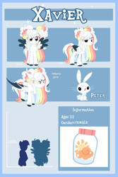 Size: 1440x2160 | Tagged: safe, oc, pegasus, pony, adoptable, art, base, character, commission, present, your character here