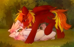 Size: 2560x1619 | Tagged: safe, artist:arisuyukita, oc, oc only, oc:darknesstem, oc:fire wind (arisuyukita), pegasus, pony, bedroom eyes, blushing, duo, duo male and female, ear fluff, eye contact, female, forest, freckles, grass, leg fluff, leonine tail, looking at each other, looking at someone, lying down, male, mare, nature, oc x oc, on back, outdoors, partially open wings, pegasus oc, raised leg, shipping, smiling, stallion, straight, tail, tree, wings