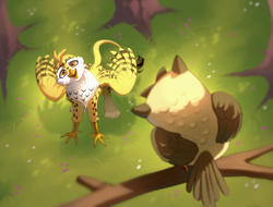 Size: 3000x2281 | Tagged: safe, artist:djkaskan, owlowiscious, oc, oc:beaky, bird, griffon, owl, fanfic:yellow feathers, duo, forest, griffon oc, high res, looking up, nature, paws, spread wings, tree, tree branch, tree pov, wings