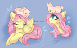 Size: 2700x1700 | Tagged: safe, artist:jsunlight, fluttershy, pegasus, pony, rabbit, g4, animal, cute, shyabetes, sleeping, solo, terraria, wings