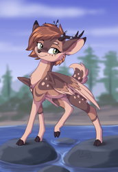 Size: 915x1327 | Tagged: safe, artist:sirzi, oc, oc only, deer, deer pony, original species, peryton, countershading, looking back, nature, smiling, solo, water