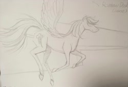 Size: 4000x2721 | Tagged: safe, artist:migesanwu, rainbow dash, horse, pegasus, g4, flying, paper, pencil drawing, photo, side view, simple background, sketch, solo, text, traditional art, white background
