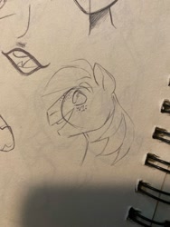 Size: 1500x2000 | Tagged: safe, artist:texacity, big macintosh, earth pony, pony, g4, bust, male, mouth, old art, pencil drawing, sketch, sketch dump, sketchbook, stallion, traditional art