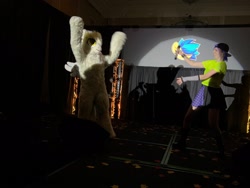 Size: 2048x1536 | Tagged: safe, artist:koapony, derpy hooves, human, convention, duo, fursuit, irl, irl human, photo, ponysuit, stage