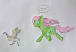Size: 3328x2268 | Tagged: safe, artist:seiratempest, oc, oc:butterfly harmony, bird, butterfly, earth pony, goose, pony, atg 2024, blue eyes, colored pencils, drawing, newbie artist training grounds, pink mane, traditional art