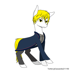Size: 2000x2000 | Tagged: safe, artist:cassandra211190, oc, oc only, earth pony, pony, clothes, earth pony oc, simple background, solo, white background