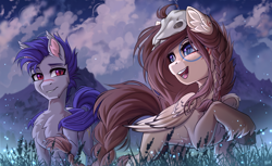 Size: 3600x2204 | Tagged: safe, artist:hakaina, oc, oc only, bat pony, pegasus, pony, bat pony oc, braid, braided pigtails, coat markings, duo, duo male and female, facial markings, female, freckles, low angle, male, mare, open mouth, outdoors, pale belly, pegasus oc, physique difference, pigtails, raised hoof, sky, slender, stallion, teeth, thin, unshorn fetlocks