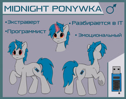 Size: 3165x2499 | Tagged: safe, artist:zirrapie, oc, oc:ponywka, pony, unicorn, blue mane, cyrillic, gray body, horn, male, programmer, reference, russian, stallion