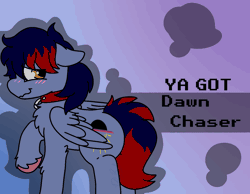 Size: 1348x1048 | Tagged: safe, alternate character, alternate version, artist:bluemoon, oc, oc only, oc:dawn chaser, pegasus, pony, banned from equestria daily, animated, blushing, chest fluff, collar, colored hooves, commission, floppy ears, folded wings, gif, gradient background, looking back, male, male oc, orange eyes, pegasus oc, pet play, raised hoof, shy, stallion, stallion oc, submissive, tail, two toned mane, two toned tail, unshorn fetlocks, wings, ya got, ych result