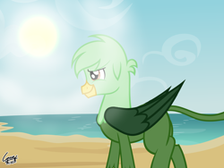 Size: 2048x1536 | Tagged: safe, artist:gregory-the-griffon, oc, oc only, oc:gregory griffin, griffon, g4, beach, griffon oc, male, no eyelashes, solo, summer, sun, walking