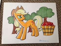 Size: 1024x768 | Tagged: safe, artist:thom zahler, applejack, earth pony, pony, g4, 2014, apple, apple basket, applejack's hat, commission, cowboy hat, female, food, freckles, hat, heroescon, heroescon 2014, lidded eyes, mare, photo, signature, smiling, solo, tail, traditional art, tree