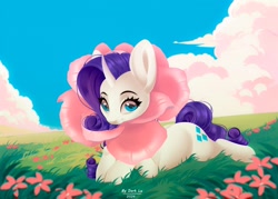 Size: 2560x1834 | Tagged: safe, artist:d_lu, artist:dark_lu, artist:dark_lu~, rarity, pony, unicorn, g4, cloud, female, flower, grass, horn, looking at you, lying down, mare, outdoors, prone, sky, smiling, smiling at you, solo, sploot, tail