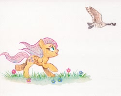Size: 2000x1595 | Tagged: safe, artist:nedemai, fluttershy, bird, goose, pegasus, pony, atg 2024, female, flower, looking up, mare, newbie artist training grounds, open mouth, solo, traditional art, watercolor painting, windswept mane