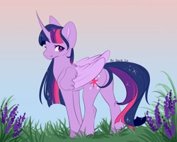 Size: 2500x2000 | Tagged: safe, artist:dark_lu, twilight sparkle, alicorn, pony, g4, curved horn, female, flower, folded wings, grass, high res, horn, looking at you, mare, solo, tail, twilight sparkle (alicorn), wings
