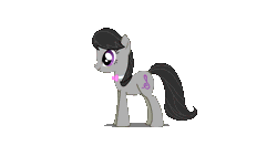 Size: 1280x720 | Tagged: safe, artist:hanksterman, octavia melody, earth pony, pony, animated, female, gif, looking at you, mare, simple background, smiling, smiling at you, solo, transparent background