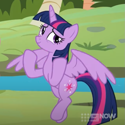 Size: 639x638 | Tagged: safe, screencap, twilight sparkle, alicorn, pony, g4, memnagerie, my little pony: friendship is forever, 9now, cropped, flying, smiling, solo, twilight sparkle (alicorn)