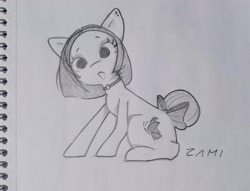 Size: 2801x2143 | Tagged: safe, artist:zamiración, derpibooru exclusive, oc, oc only, oc:griselda gedeón, earth pony, cute, pencil drawing, photo, solo, traditional art