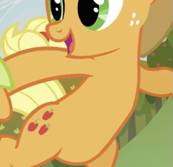 Size: 517x498 | Tagged: safe, screencap, applejack, earth pony, pony, apple family reunion, g4, season 3, bipedal, cropped, open mouth, pictures of bellies, smiling, solo