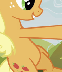 Size: 427x497 | Tagged: safe, screencap, applejack, earth pony, pony, apple family reunion, g4, belly, bipedal, cropped, pictures of bellies, smiling, solo