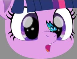 Size: 1200x921 | Tagged: safe, artist:k. dale, twilight sparkle, butterfly, pony, unicorn, g4, bust, butterfly on nose, cute, female, gasp, gray background, horn, insect on nose, movie accurate, simple background, solo, twiabetes, unicorn twilight