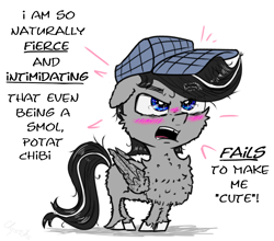 Size: 1750x1542 | Tagged: safe, artist:chopsticks, oc, oc only, oc:chopsticks, pegasus, pony, blushing, butt fluff, cheek fluff, chest fluff, chibi, chipped tooth, dialogue, hat, male, nose wrinkle, open mouth, simple background, smol, solo, stallion, stray strand, talking to viewer, text, unshorn fetlocks, white background