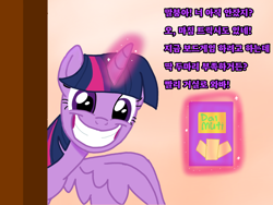 Size: 1024x768 | Tagged: safe, artist:miller31744, twilight sparkle, alicorn, pony, g4, female, grin, horn, korean, mare, smiling, spread wings, translated in the description, wide grin, wide smile, wings