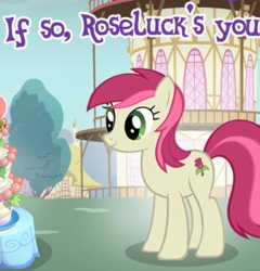Size: 347x362 | Tagged: safe, gameloft, screencap, roseluck, earth pony, pony, g4, cropped, english, female, mare, meme, solo, text, waifu, wow! glimmer