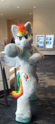 Size: 1280x2886 | Tagged: safe, artist:phoenixwolf, rainbow dash, pegasus, 2019, babscon, fursuit, indoors, irl, photo, ponysuit, pose, solo