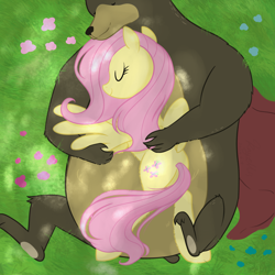 Size: 2048x2048 | Tagged: safe, artist:rayelli, fluttershy, harry, bear, pegasus, pony, g4, cuddling, cute, duo, fat, female, flower, grass, larger male, lying down, lying on top of someone, mare, obese, physique difference, relaxing, size difference, skinny, sleeping, smaller female, spread legs, spread wings, spreading, strong fat, thin, wings