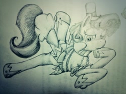 Size: 1024x768 | Tagged: safe, artist:sasho-shirokami, sapphire shores, earth pony, pony, g4, clothes, female, hat, hoof shoes, lidded eyes, lying down, mare, monochrome, prone, solo, tail, traditional art