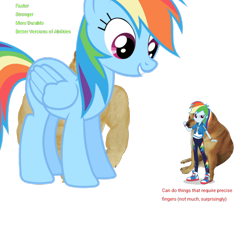 Size: 640x597 | Tagged: safe, artist:revolutionarygrape11, rainbow dash, dog, human, pegasus, pony, equestria girls, g4, clothes, doge, dream, duo, duo female, female, giant pony, looking at someone, macro, self paradox, self ponidox, simple background, size difference, smiling, tiny human, transparent background