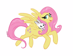 Size: 3300x2550 | Tagged: safe, artist:nicole gauss, angel bunny, fluttershy, pegasus, pony, rabbit, animal, duo, simple background, white background