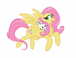 Size: 3300x2550 | Tagged: safe, artist:nicole gauss, angel bunny, fluttershy, pegasus, pony, rabbit, g4, animal, duo, simple background, white background