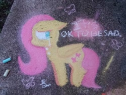 Size: 1080x810 | Tagged: safe, artist:comicmaker, fluttershy, butterfly, pegasus, pony, g4, chalk, chalk art, chalk drawing, crying, ears back, female, folded wings, looking back, mare, photo, sad, solo, tail, traditional art, wings