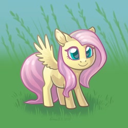 Size: 1464x1464 | Tagged: safe, artist:dany-the-hell-fox, part of a set, fluttershy, pegasus, pony, g4, chibi, colored pupils, cute, day, grass, shyabetes, smiling, solo