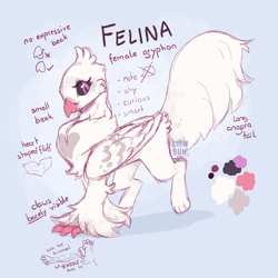 Size: 2000x2000 | Tagged: safe, artist:lionbun, oc, oc only, oc:felina, griffon, female, griffon oc, reference sheet, sketch, solo