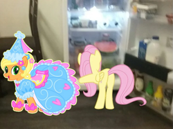 Size: 719x538 | Tagged: safe, applejack, fluttershy, earth pony, pegasus, pony, g4, clothes, dress, duo, duo female, female, froufrou glittery lacy outfit, hanging out, hat, hennin, mare, photo, princess, princess applejack, puffy sleeves, refrigerator